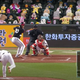 Illustration for article titled Pokémon Plush Toys Gather To Watch Korean Baseball